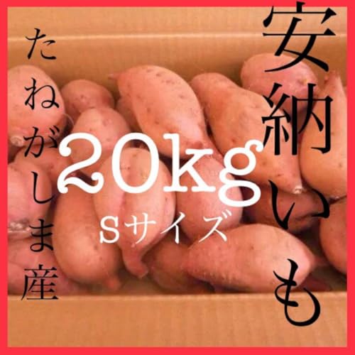 さつまいも 20kg」の人気商品一覧 | 安い商品を通販サイトから探す
